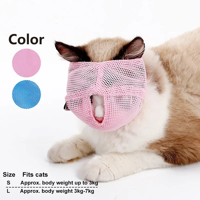 cat muzzle  (3)