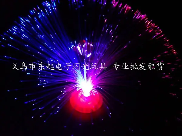 

Free shipping Colorful fiber optic wire lamp small night light belt rose optical fiber flower hot selling
