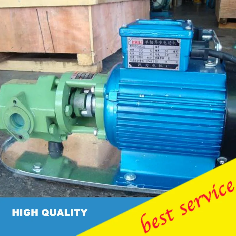 WCB 75 Portable Gear Oil Pump 220V explosion proof motor 75 liter