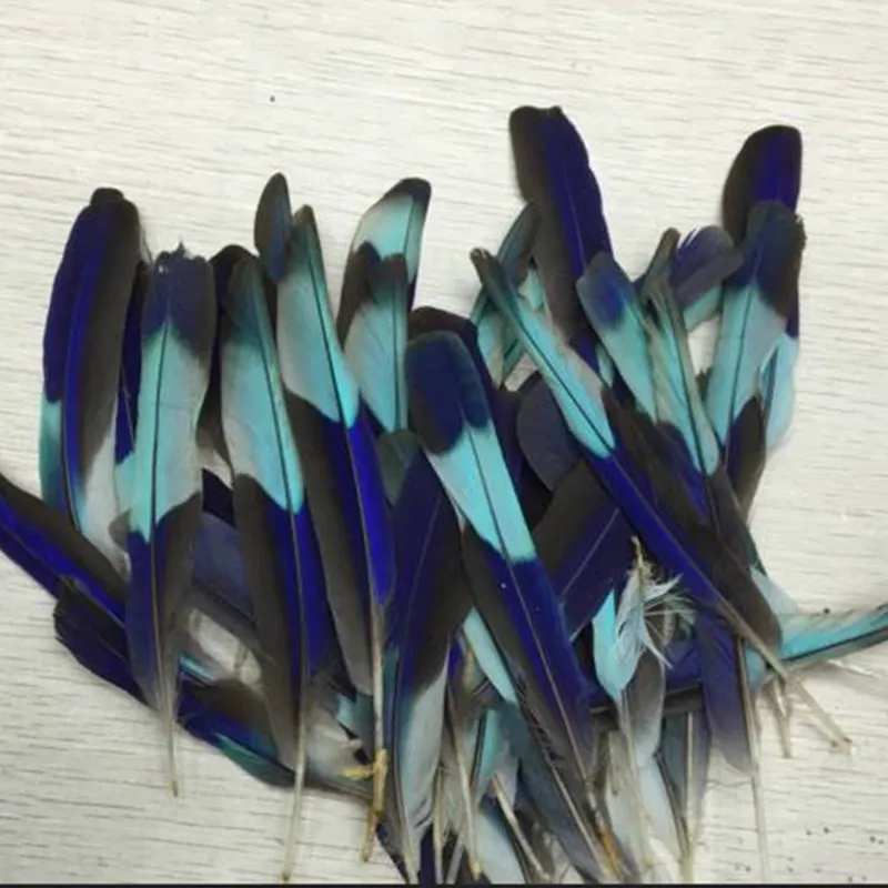 Wholesale 10 Pcs Natural Kingfisher Feather 34"/810 Cm Diy Feather