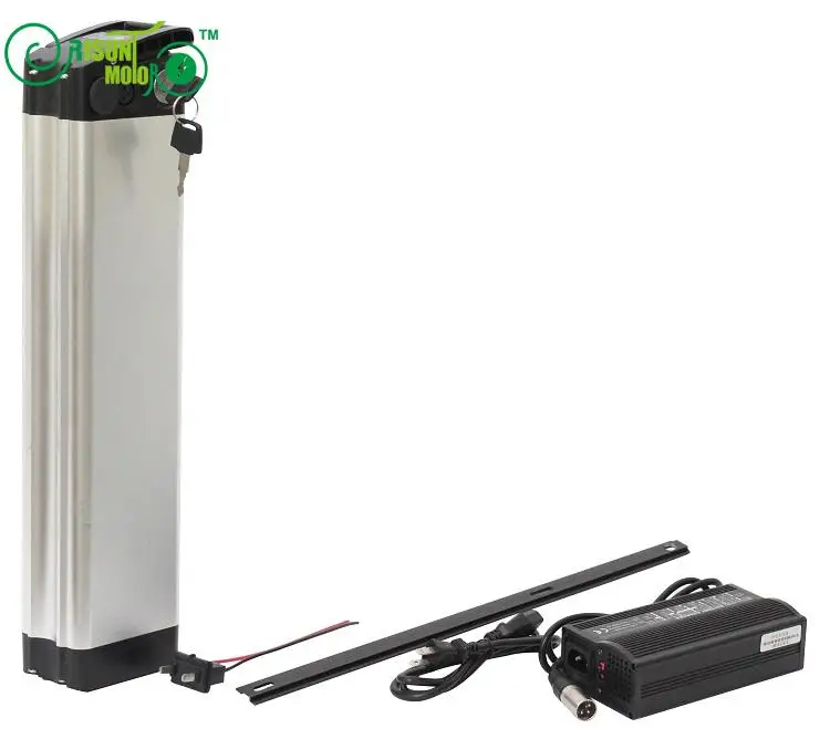 

48V 20.3AH E-bike Li-ion Lithium Battery For 29PF Cell With BMS and 5A Fast Charger