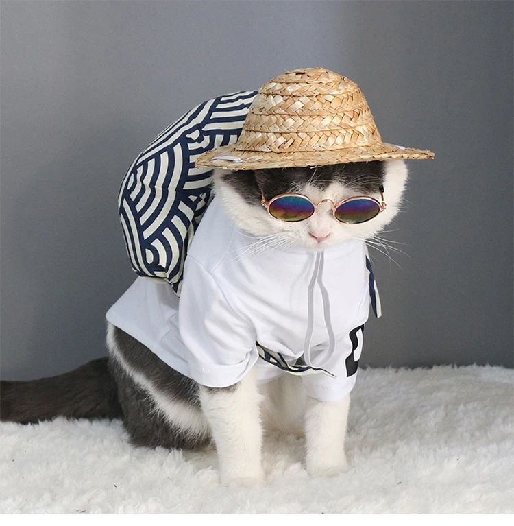 cat eye sunglasses