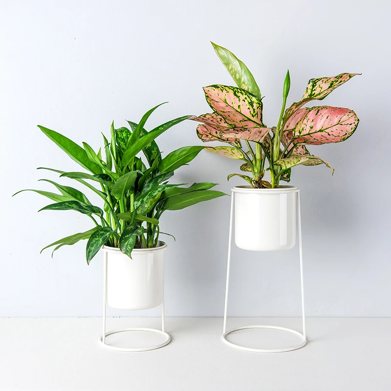 Набор из 2 стоячих контейнеры для растений стоячих плантаторов Air Plant Stand Plant Holders, один высокий плантатор и один короткий плантатор