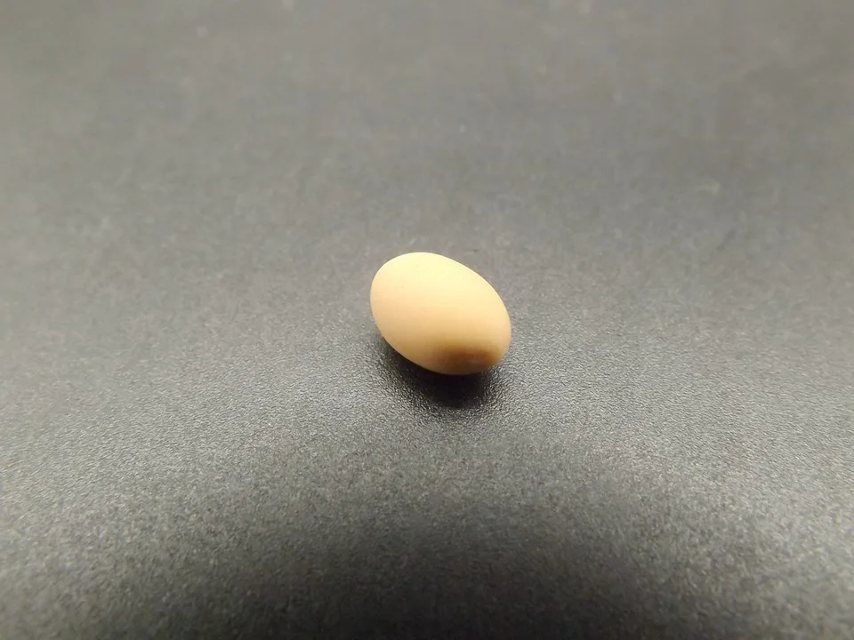 Tiny-A025Egg (6)