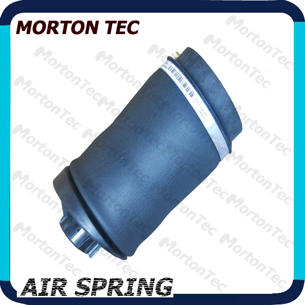 W251 stainless steel leaf spring air suspension springs OE No 251 320