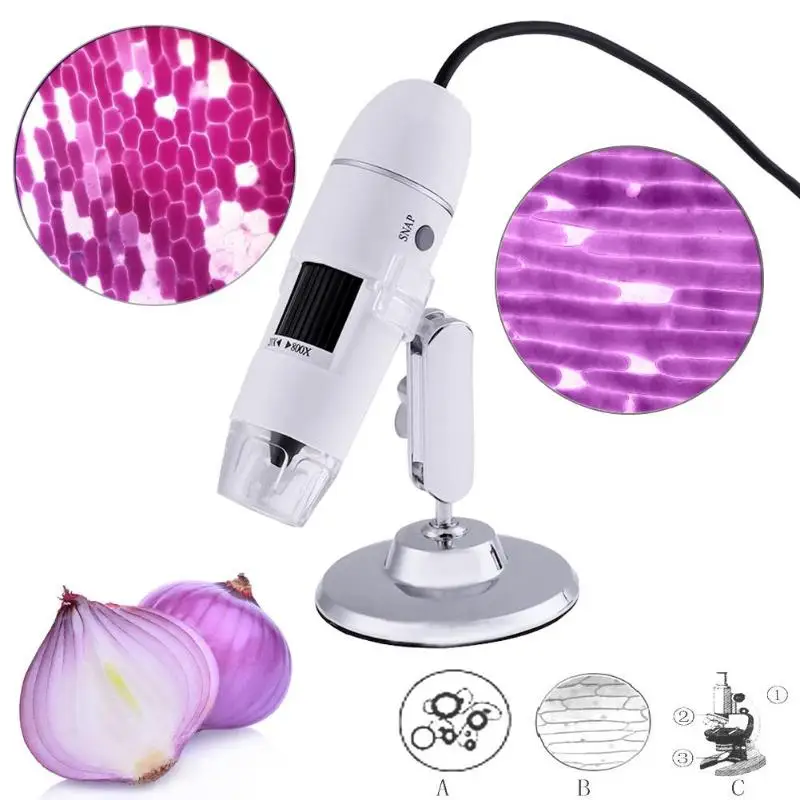 

800X 8 LED Handheld Digital Microscope USB Endoscope Zoom Camera Magnifier Microscopio Professional Electronic Microscope