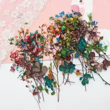 120 шт прессованный высушенный цветок со стеблями наполнитель для эпоксидной смолы ювелирных изделий рамка для открытки чехол для телефона ремесло DIY