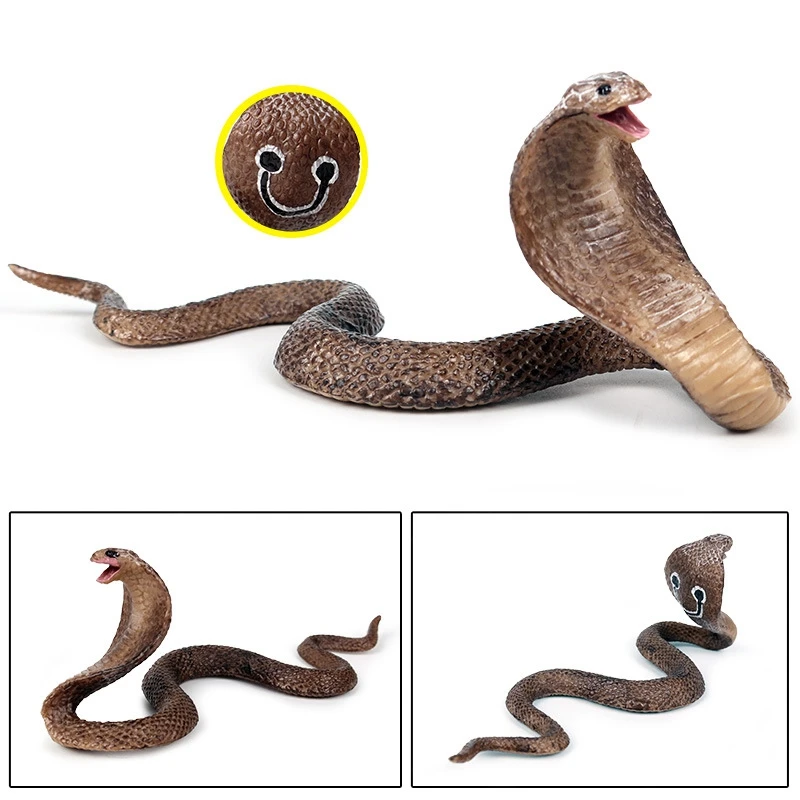 

Simulation Reptile Model Cobra Snake Amphibious Spectacles Kingsnake Model Tidy Toy Ornaments