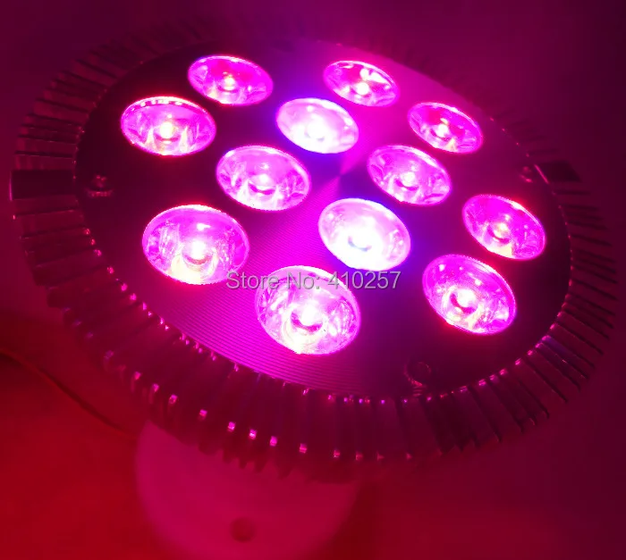 36W E27 Par Led grow light for hydroponics lighting