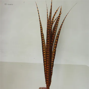 

50pcs 28-32inche/70-80cm natural Lady Amherst Pheasant Feather Orange pheasant feathers for carnival party costumes decoration