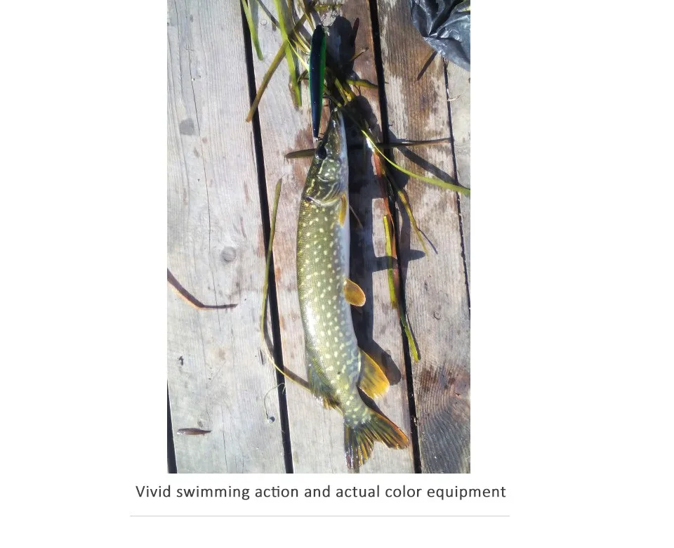 HTB1ly1TOVXXXXcwapXXq6xXFXXXo