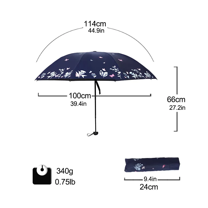 Umbrella Rain