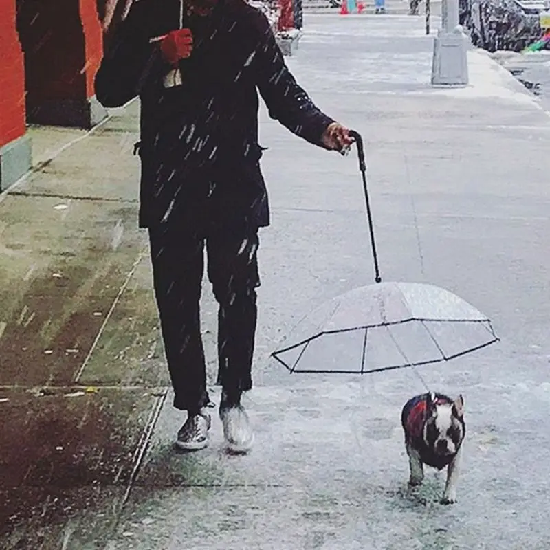 Портативный прозрачный зонт для домашних животных маленькая собака дождевик с цепочкой держать сухой открытый инструмент