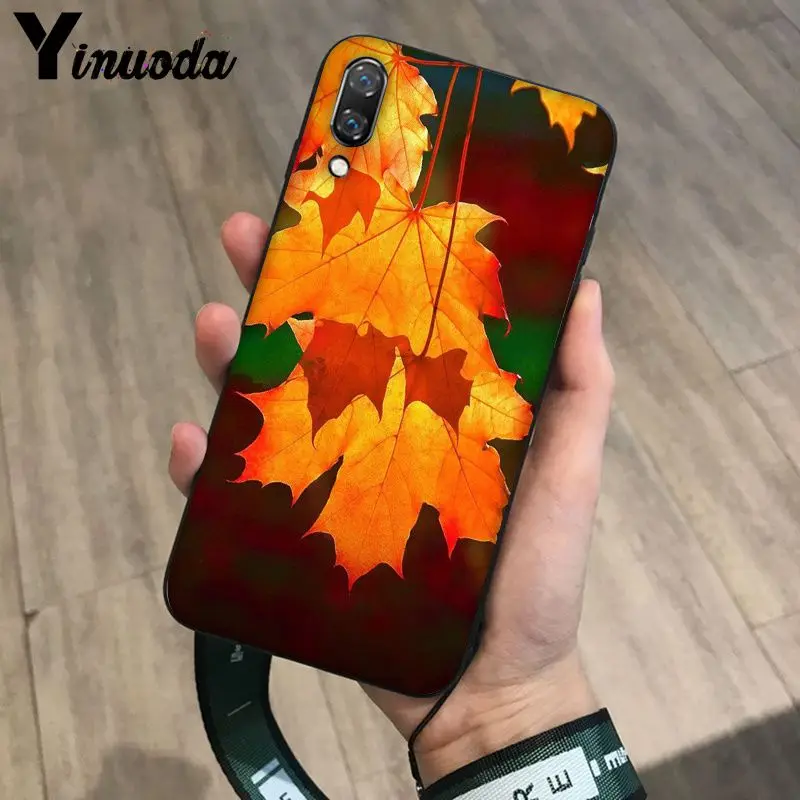 Deciduous maple leaf
