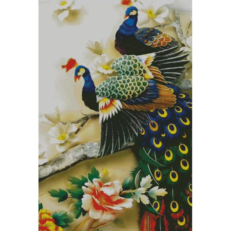Peacock 3-1