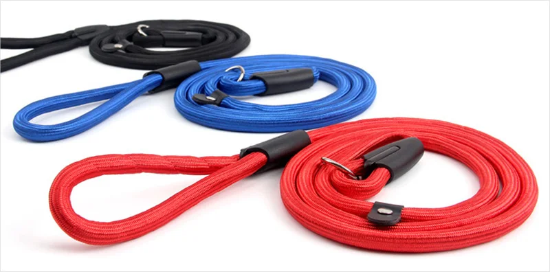 Dog pinch collar nylon leash