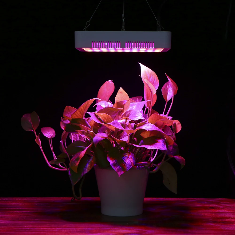 300W LED Plant Growth Light 100 LED Dimmable LED Grow Lamp for Greenhouse Balcony Plant Factory