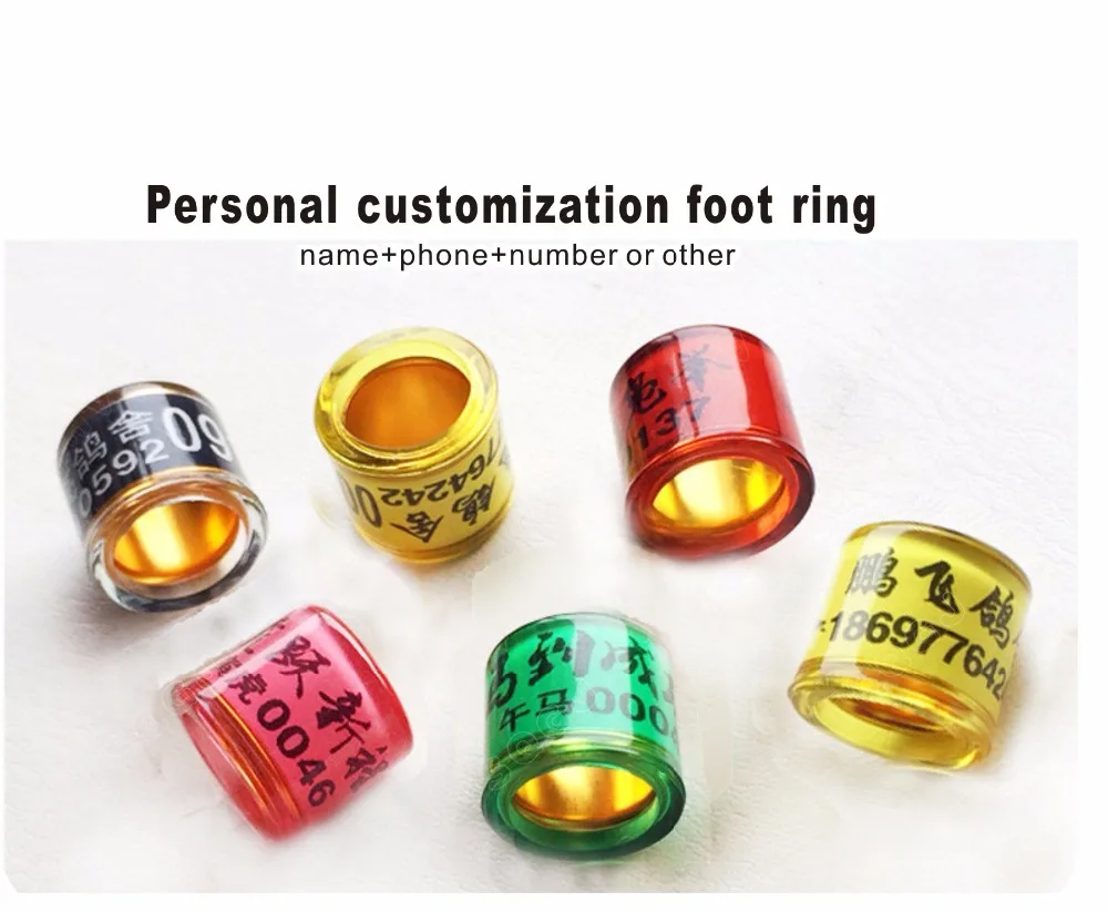 

pigeon rings bird ring with Inner gold for personal customization