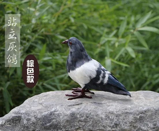 

Simulation feathered animal simulation bird pigeon handicrafts scene layout props household decorations