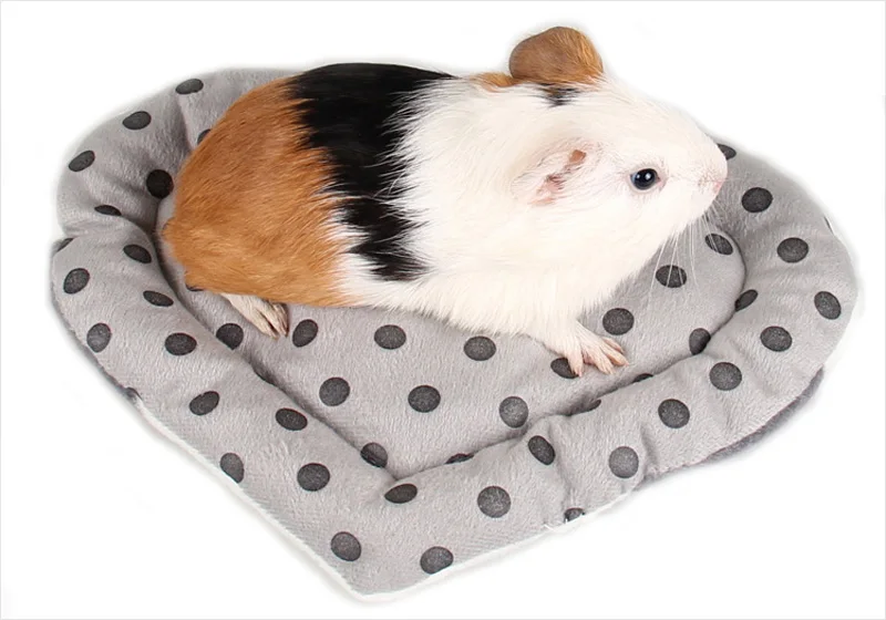 hamster mat