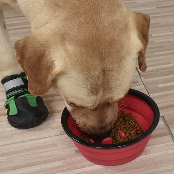 Складная миска для собак замедленная тренировка еды портативная туристическая миска для наружного XH8Z
