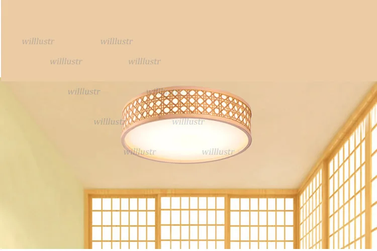ceiling light (6)
