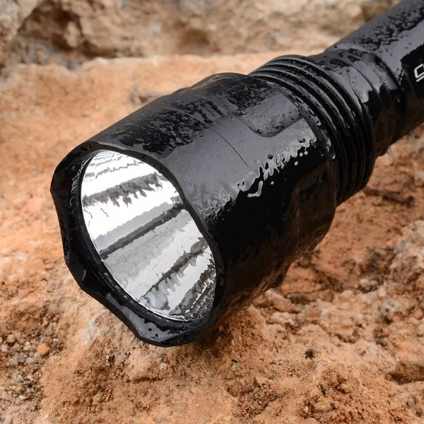 phpThumb_generated_thumbnailjpg (1)