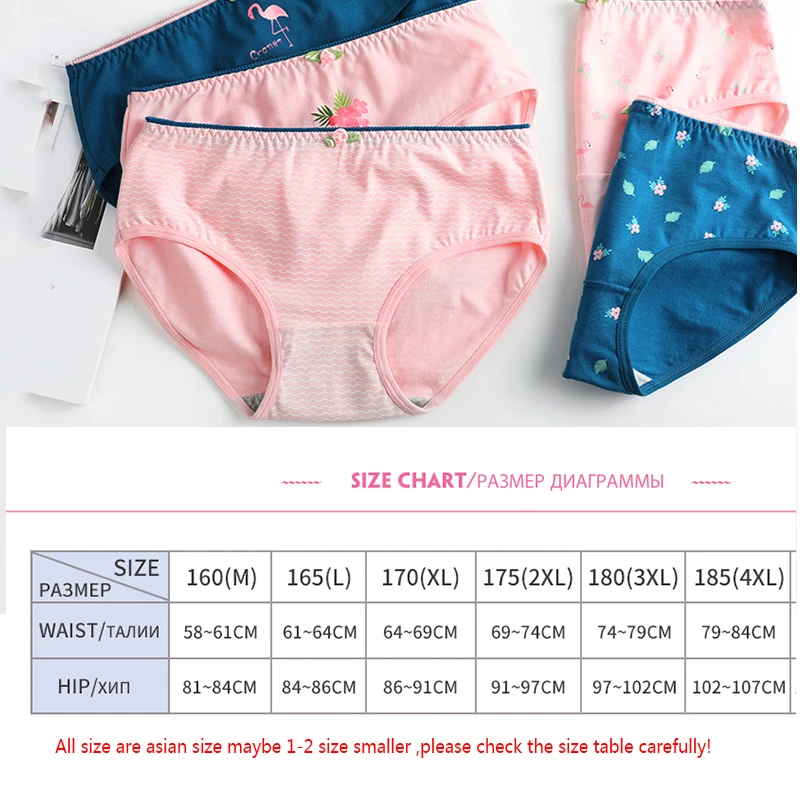 8101size