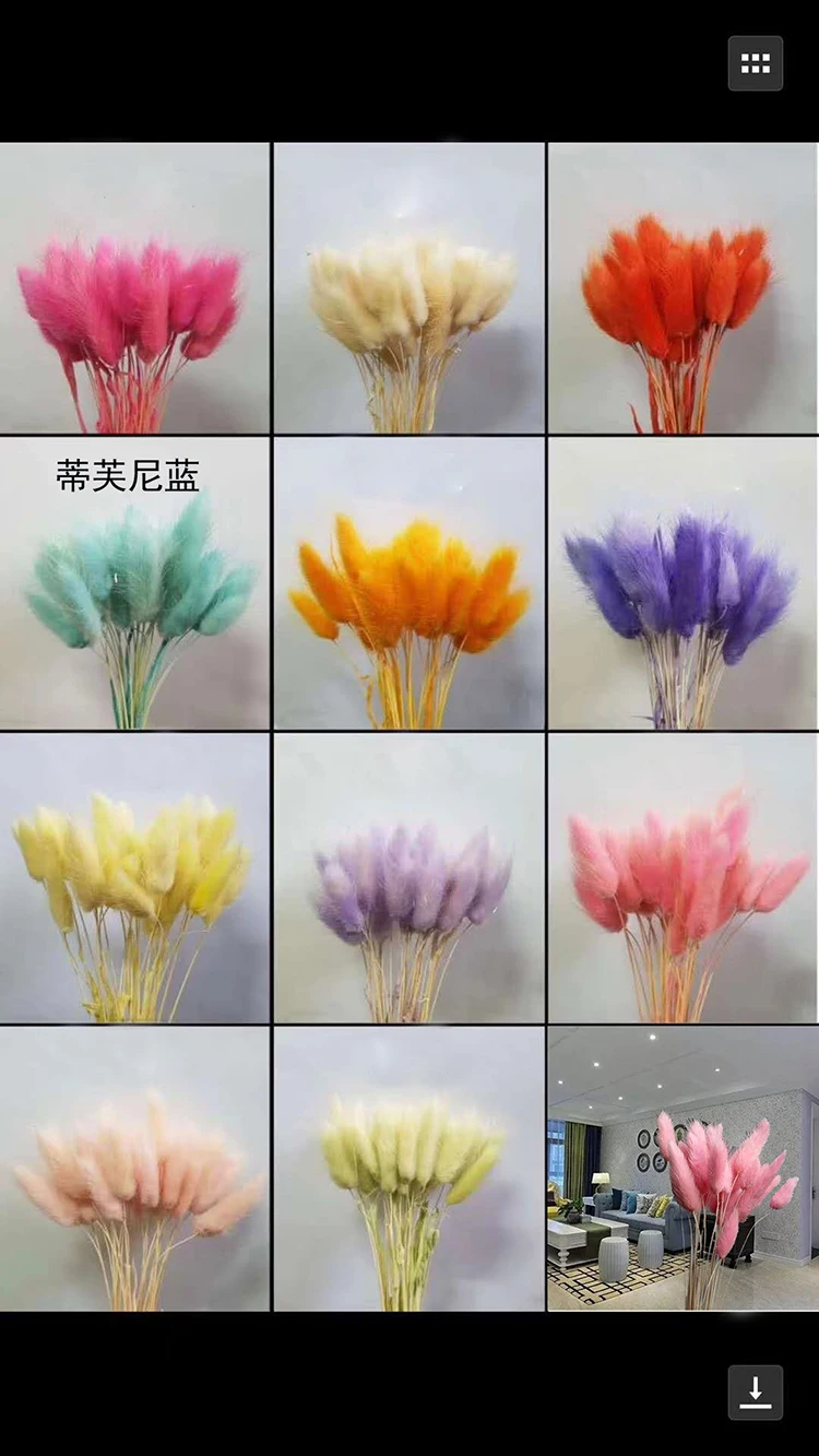 C0811 (5)