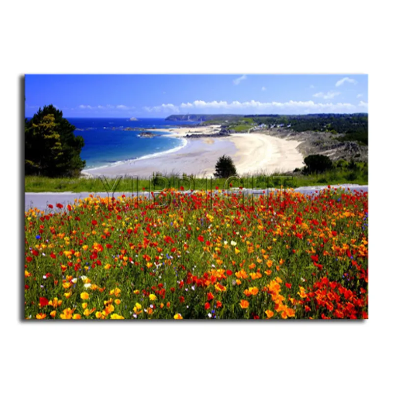 Моря и океаны цветочные поляны. Яркие краски природы. Пейзаж цветы. Цветет немофила, парк хитачи (япония). Цветущий крым.