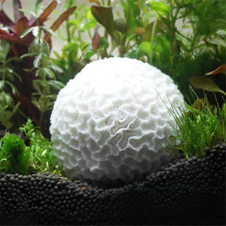 Natural White Round Decorative Coral Rare Beautiful Home Ornaments Fish Tank Aquarium Landscape Coral Wedding Decorations 5