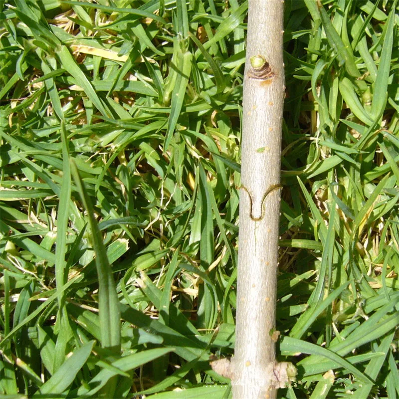 3486205904_1580583014_