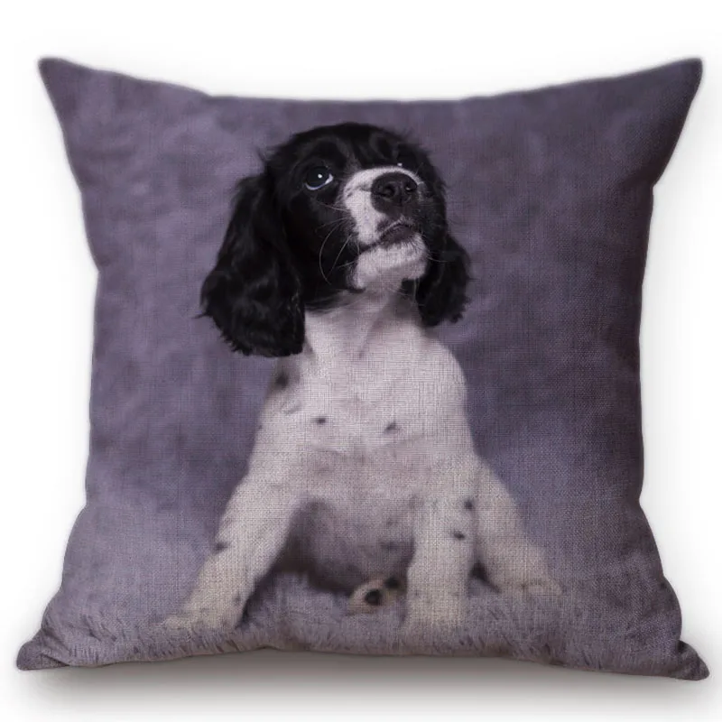 X8