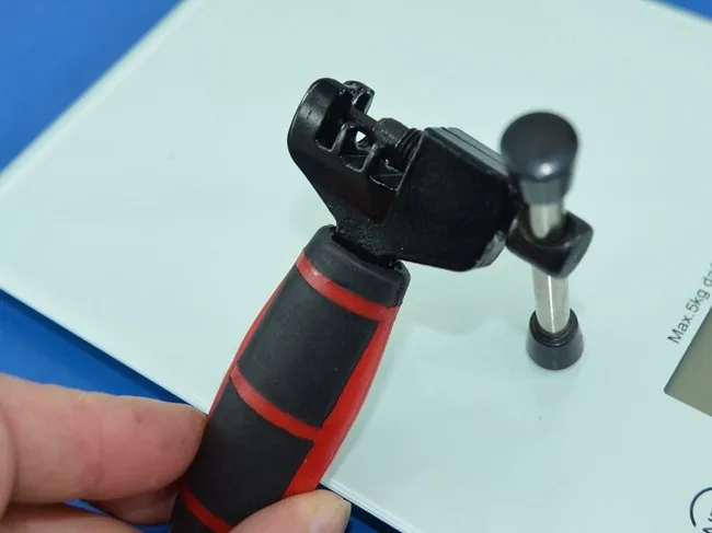 TB2pP_pXVXXXXcpXXXXXXXXXXXX-118407149