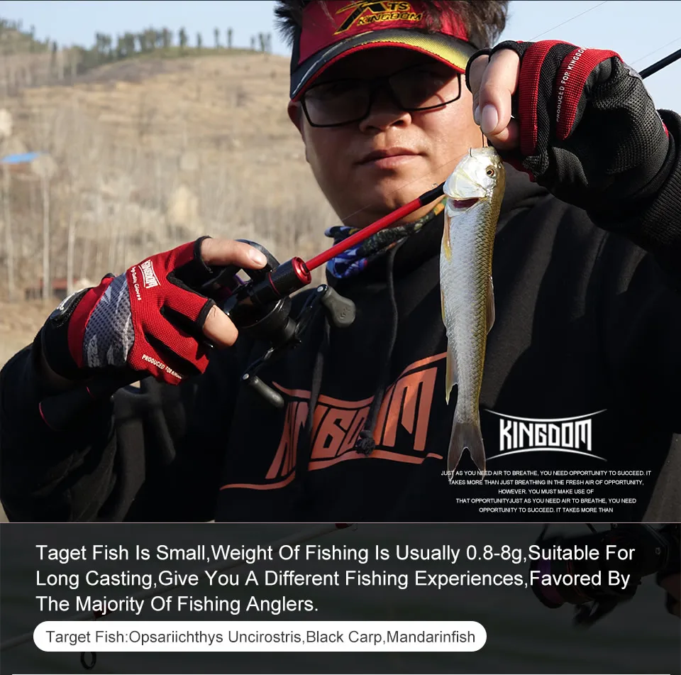 Kingdom MICRO EXPERT KM Ultralight 1.58m Spinning Fishing Rods Carbon Casting Feeder Rod with solid rod Body Fishing Travel rods (3)