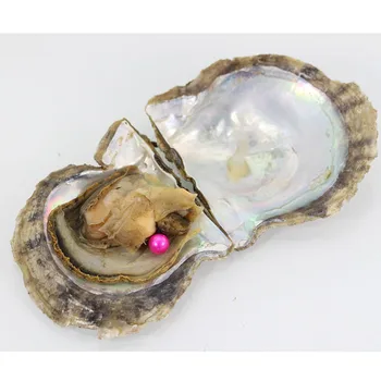 

High quality 7-8mm Round Pearls Vacuum-packed oysters Cultured Pink Pearl In Fresh Water Oyster Pearl Party Free Shipping FR008