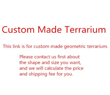 

Custom Made Geometric Terrarium Indoor Outdoor Tabletop Balcony Window Sill Decoration Flower Pot Wedding Diy Display Container