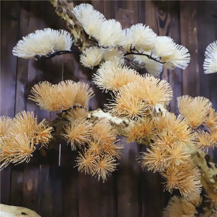 Christmas Tree Toppers (14)