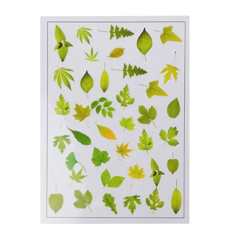 

Natural Flowers Leaves Goldfish Epoxy Resin Fillers Jewelry Fillings Materials