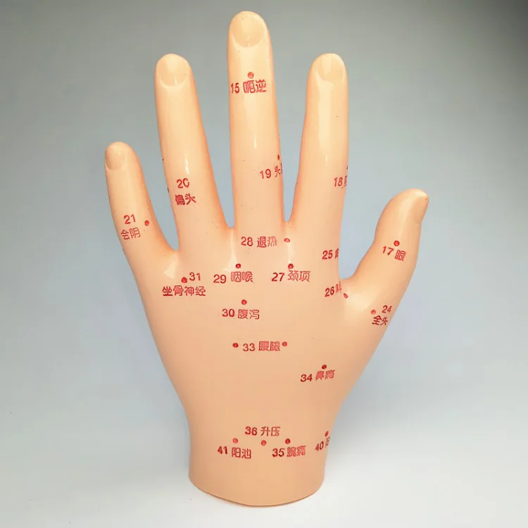 

Free Shipping!! Top Level Acupoint Hand Mannequin Hand Model Fashionable On Sale