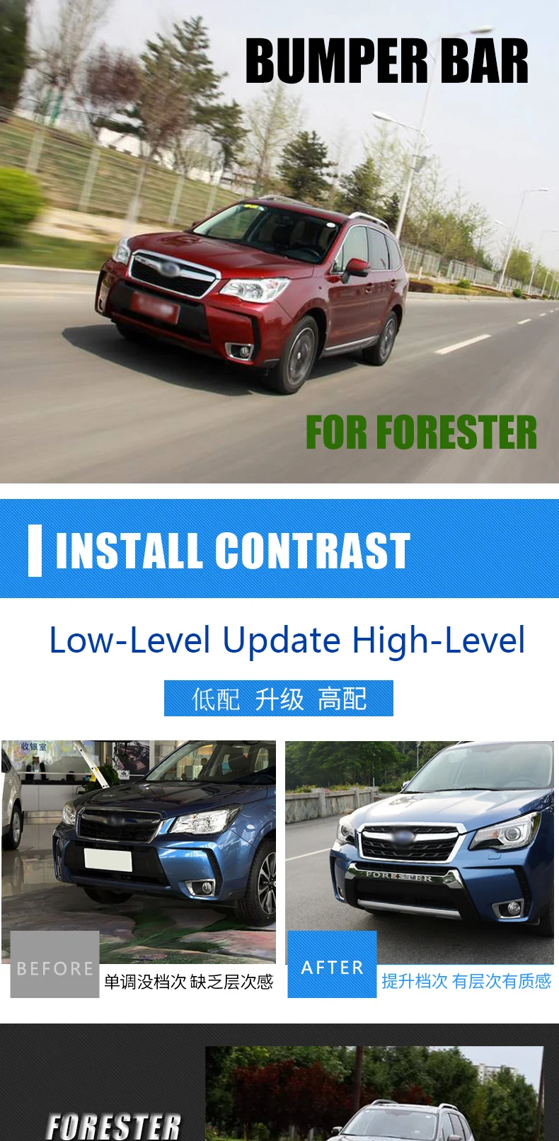 forester_01