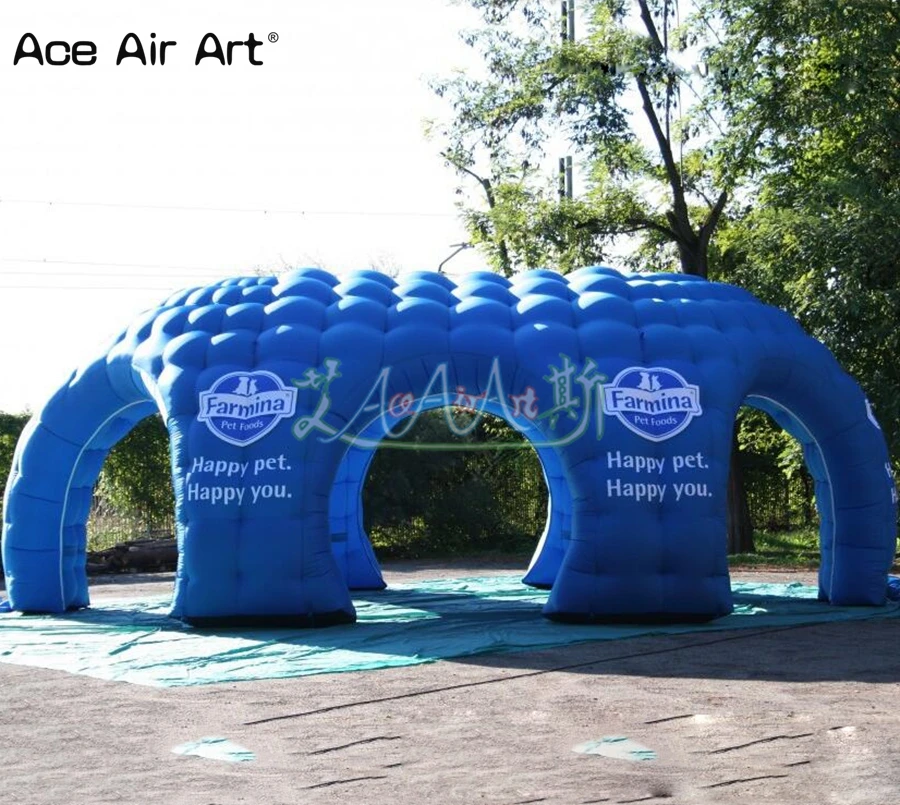 igloo13_