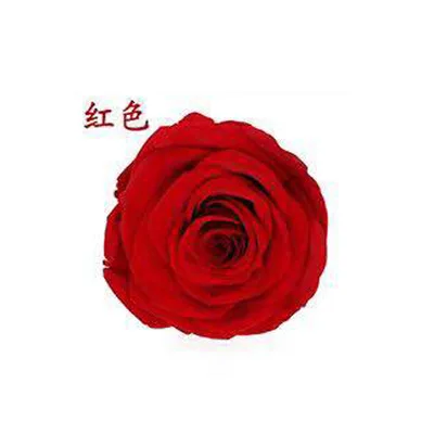 Йо Чо Искусственные цветы Роза искусственное 4-5 см сохраненные вечные розы коробка год валентина подарки навсегда вечная роза - Цвет: 12 red