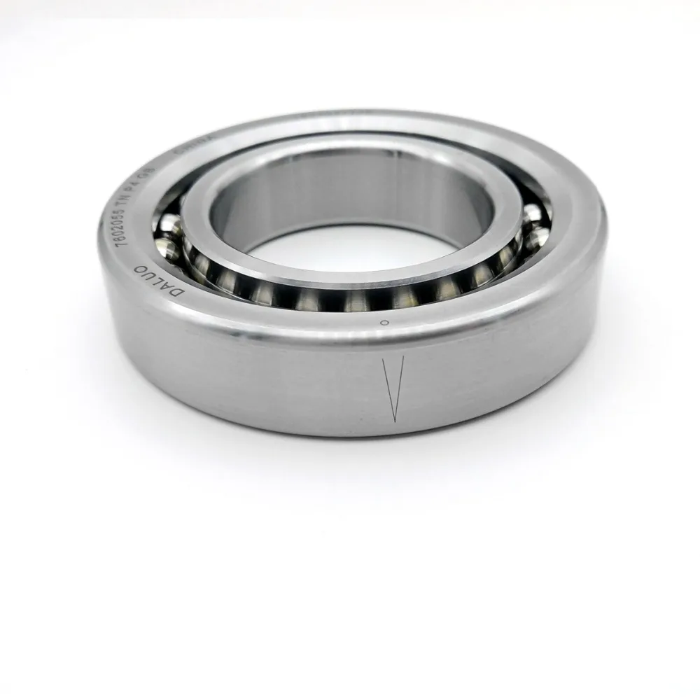 7602055 TN P4 GB DALUO BEARING 4