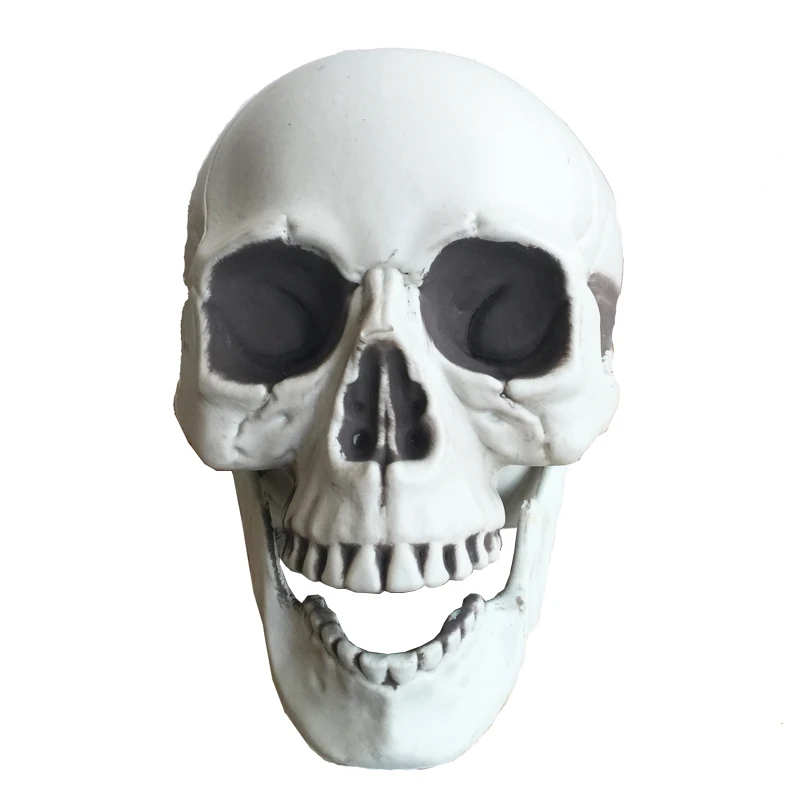 halloween skeleton skull halloween skull bones life size160 skull