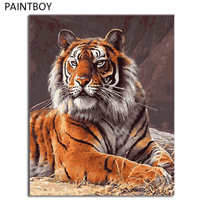 

PAINTBOY Picture Modern Framed Pictures Painting By Numbers DIY Oil Painting On Canvas Home Decor Of Animal
