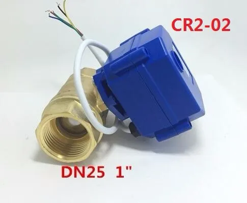 DN25