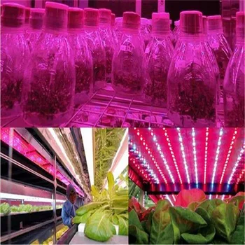 

100 Pack 0.6m 0.9m 1.2m 1.5m 1.8m 2.4m 10W-40W T8 Led Plant Growth Tube Light Red : Blue 3:2 Hydroponic growth gardening lamps