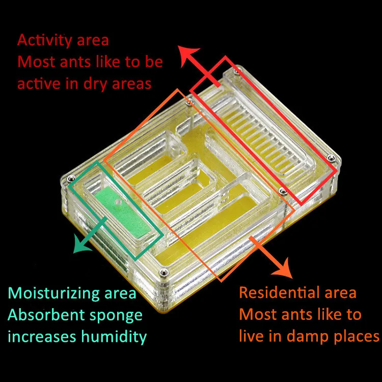 Ant feeding box acrylic ant nest ant ornamental box pet ant nest ant home transparent ant nest (2)