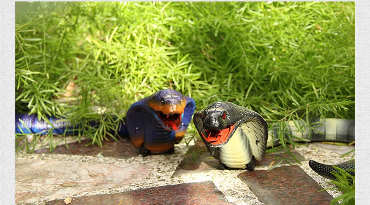 4464311001_348426548